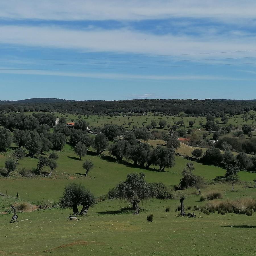 Вилла Casa Do Cabeco - Termas Da Sulfurea Cabeco de Vide Экстерьер фото