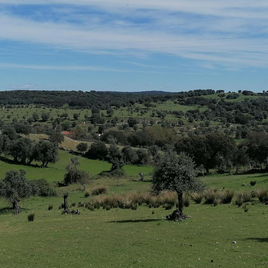 Вилла Casa Do Cabeco - Termas Da Sulfurea Cabeco de Vide Экстерьер фото